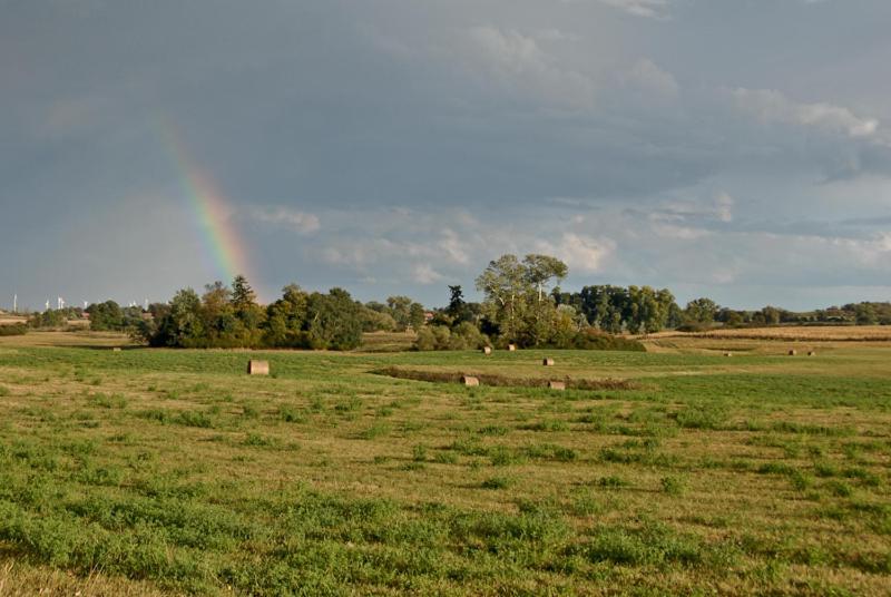 Ferienwohnung Uckermarkblick Ziehten 외부 사진