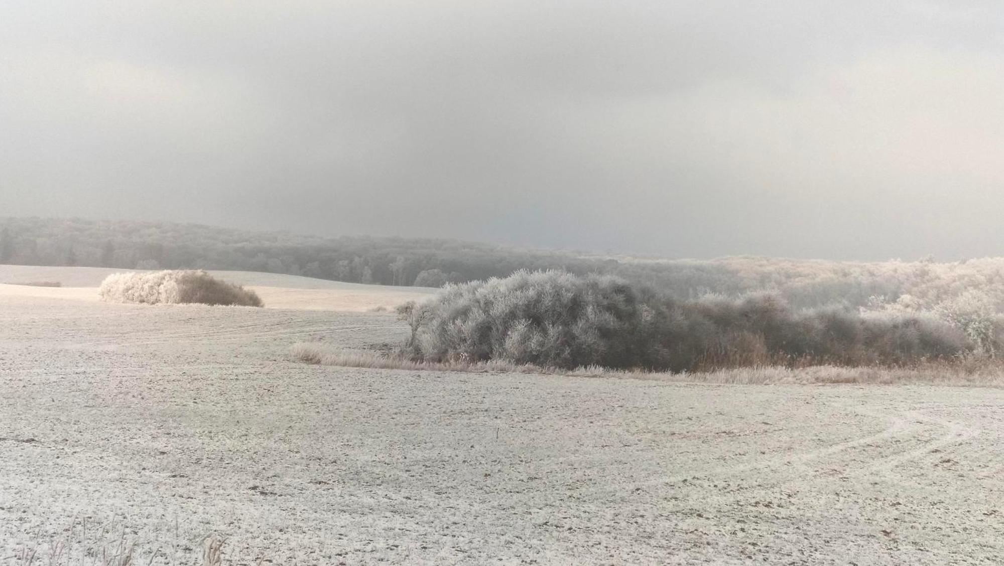 Ferienwohnung Uckermarkblick Ziehten 외부 사진