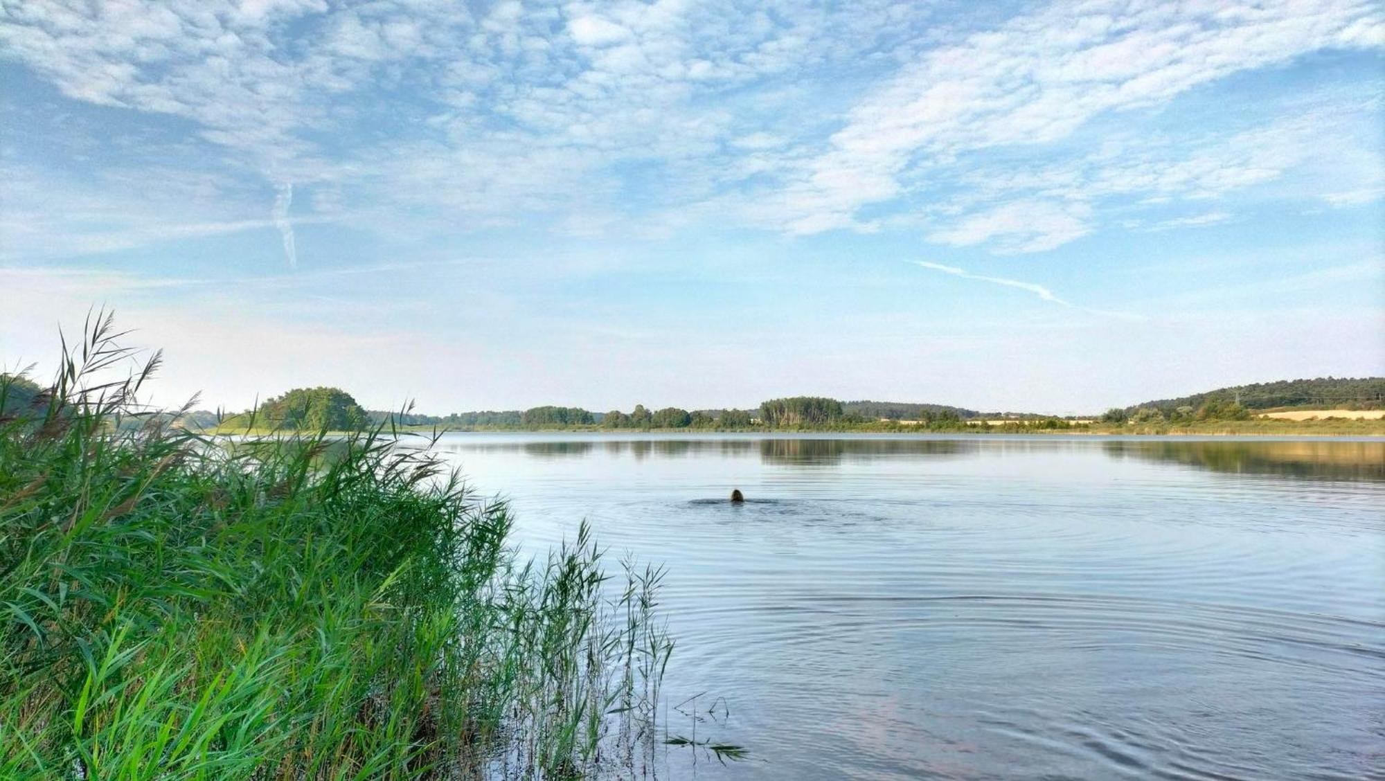 Ferienwohnung Uckermarkblick Ziehten 외부 사진